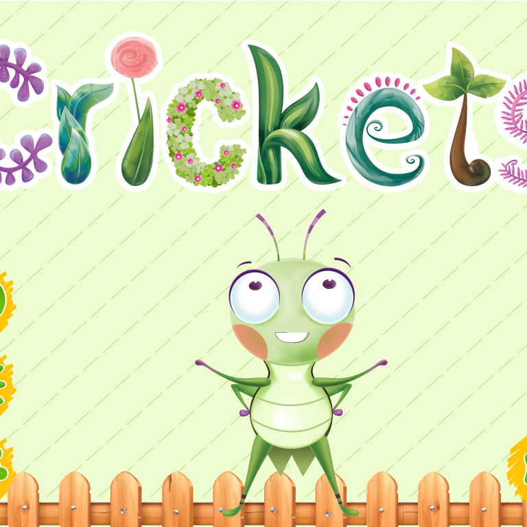 BigMonster – Crickets